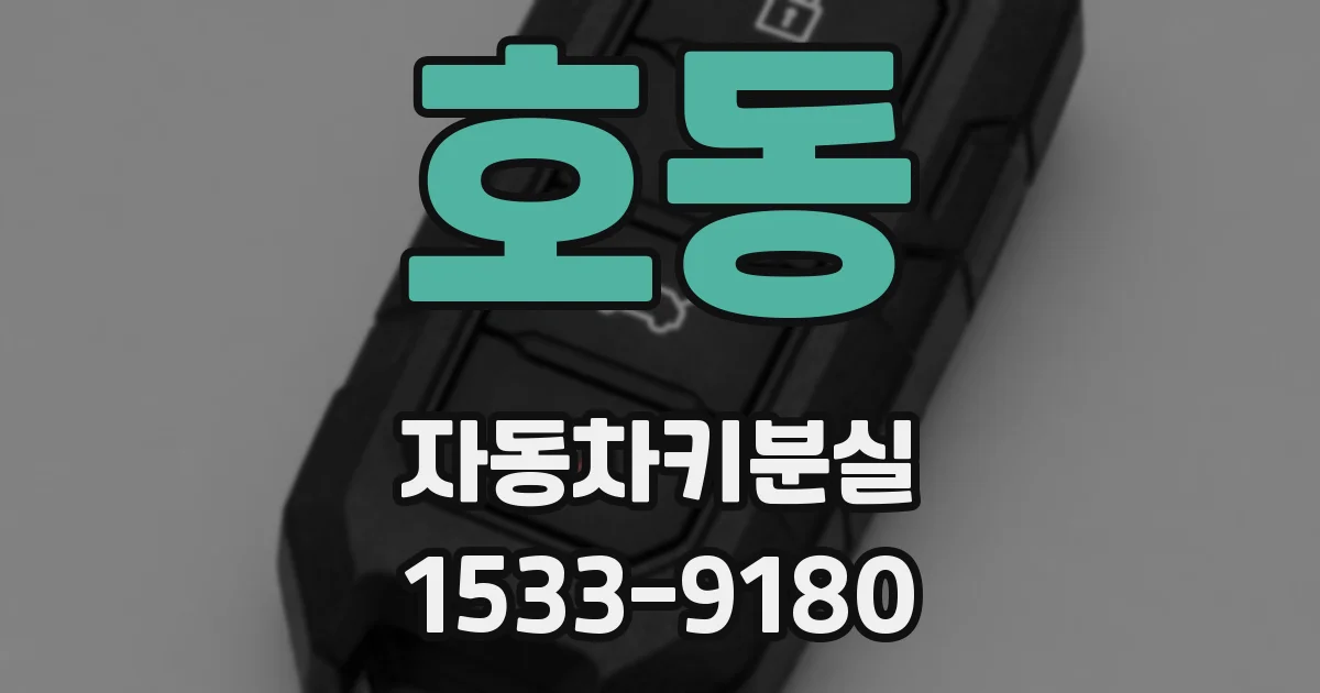 호동 자동차키분실