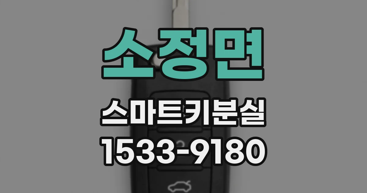 소정면 스마트키분실
