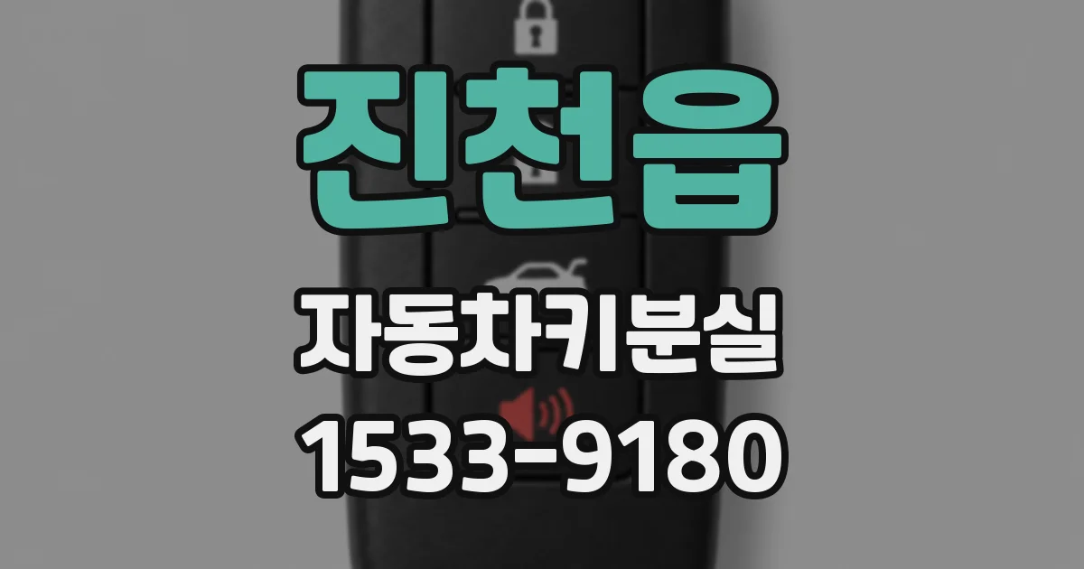 진천읍 자동차키분실