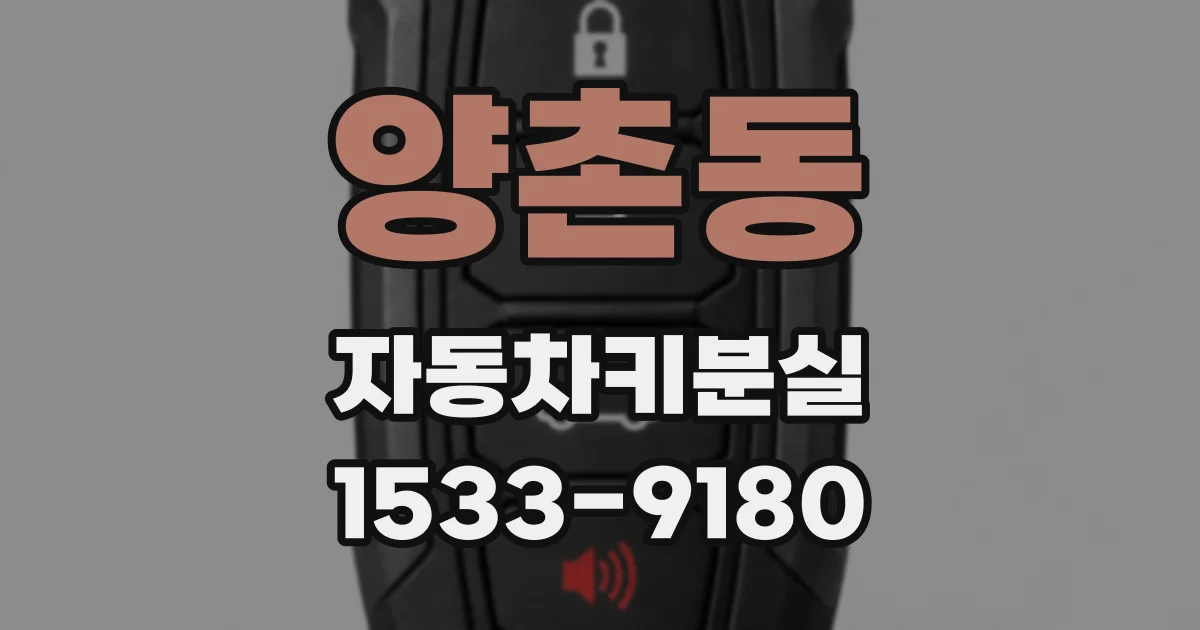 양촌동 자동차키분실