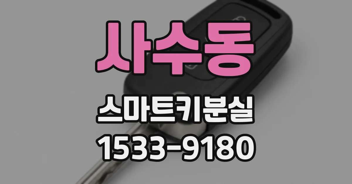 사수동 스마트키분실