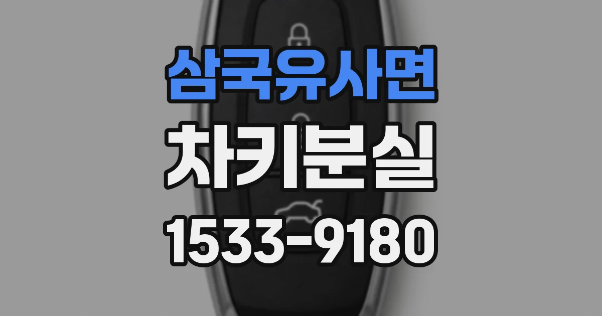 삼국유사면 차키분실