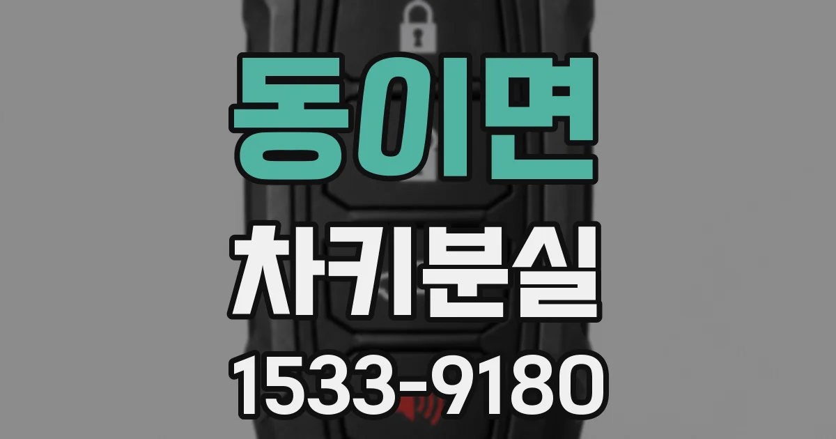동이면 차키분실