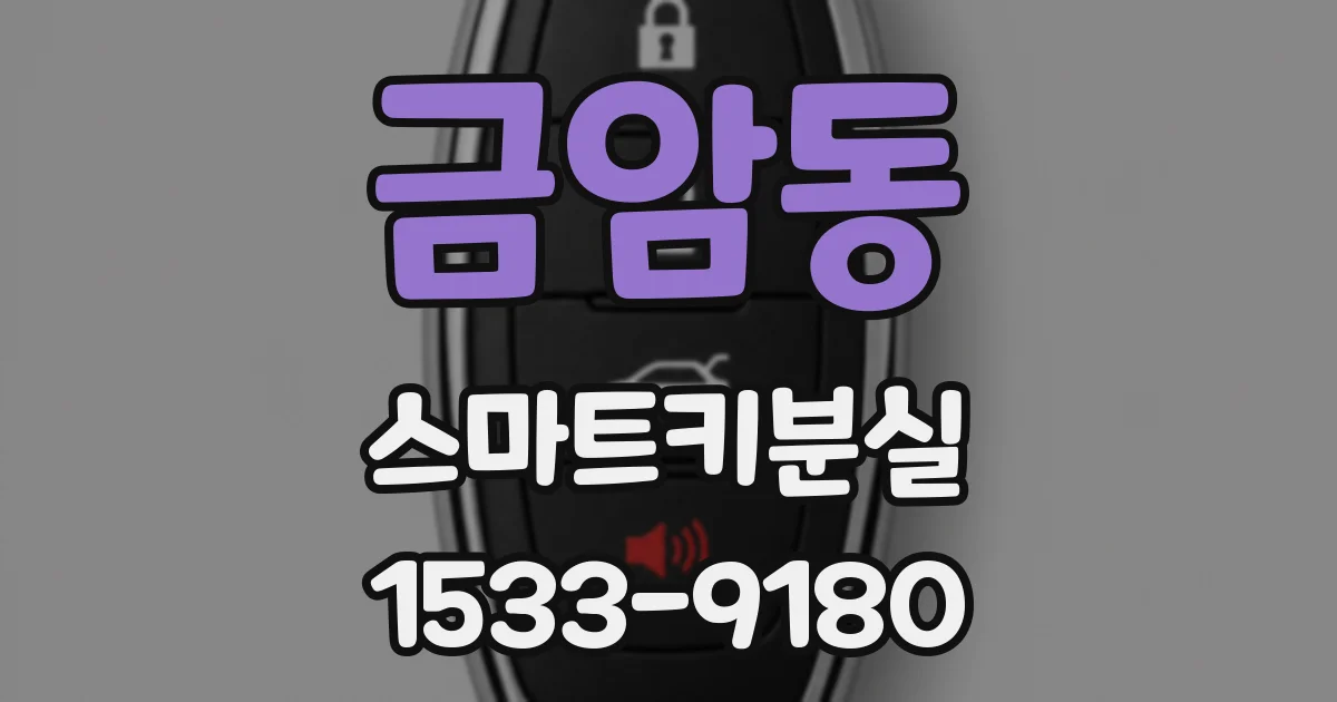 금암동 스마트키분실
