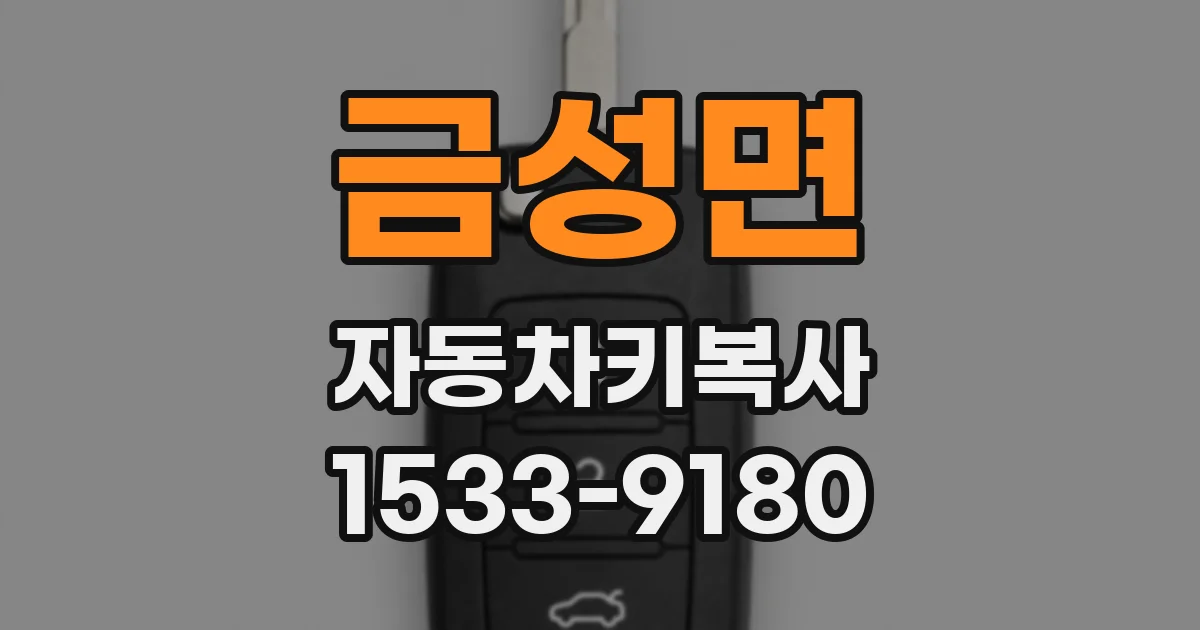 금성면 자동차키복사