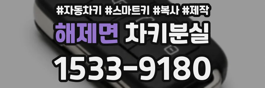 해제면 차키분실