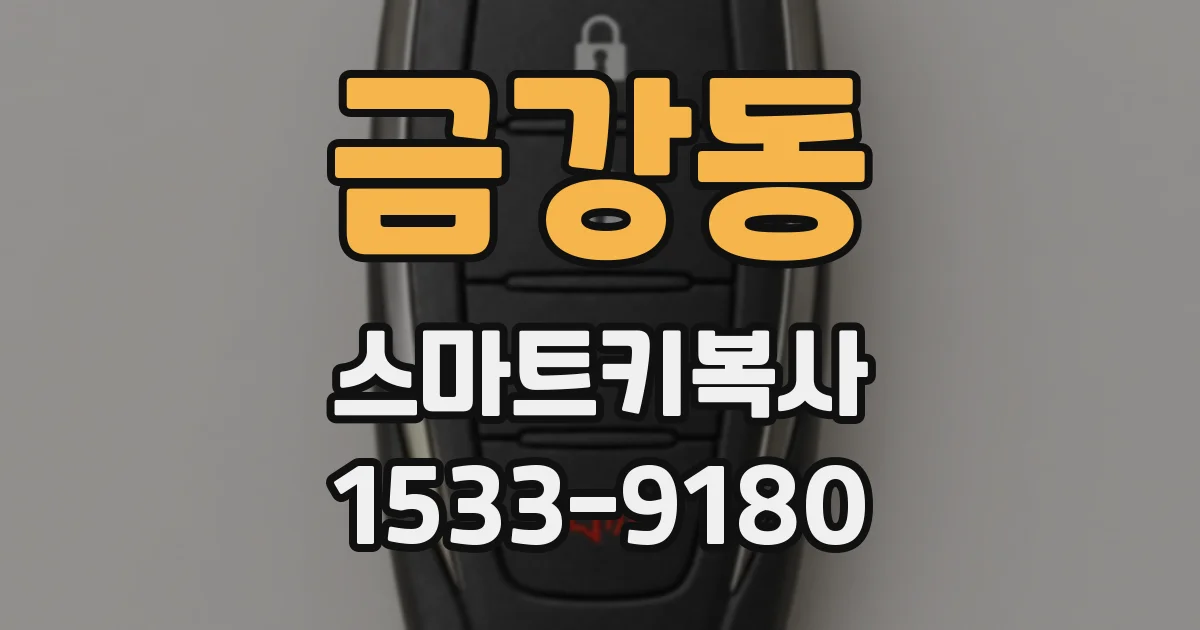 금강동 스마트키복사