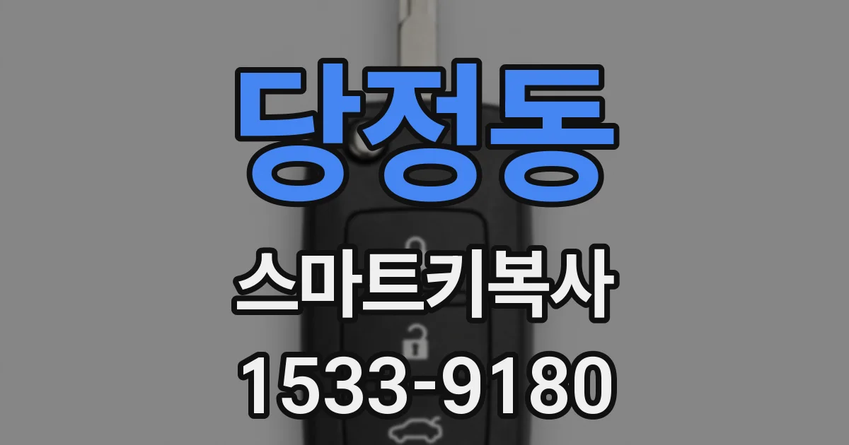 당정동 스마트키복사