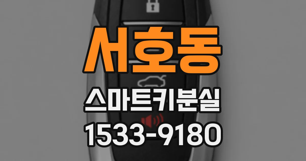 서호동 스마트키분실