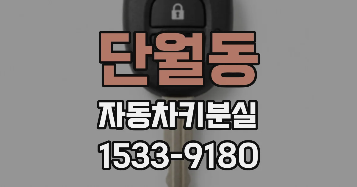 단월동 자동차키분실