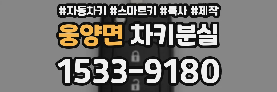 웅양면 차키분실
