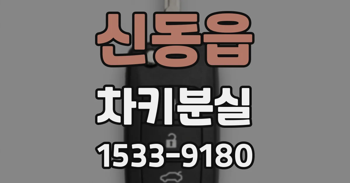 신동읍 차키분실