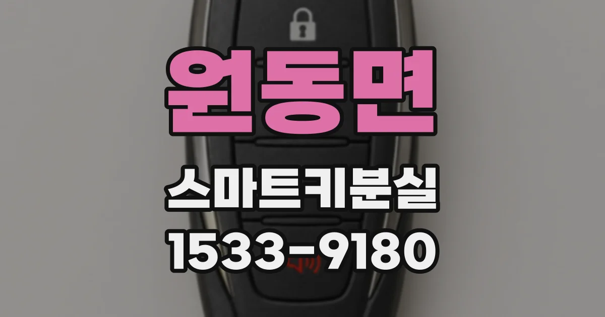 원동면 스마트키분실