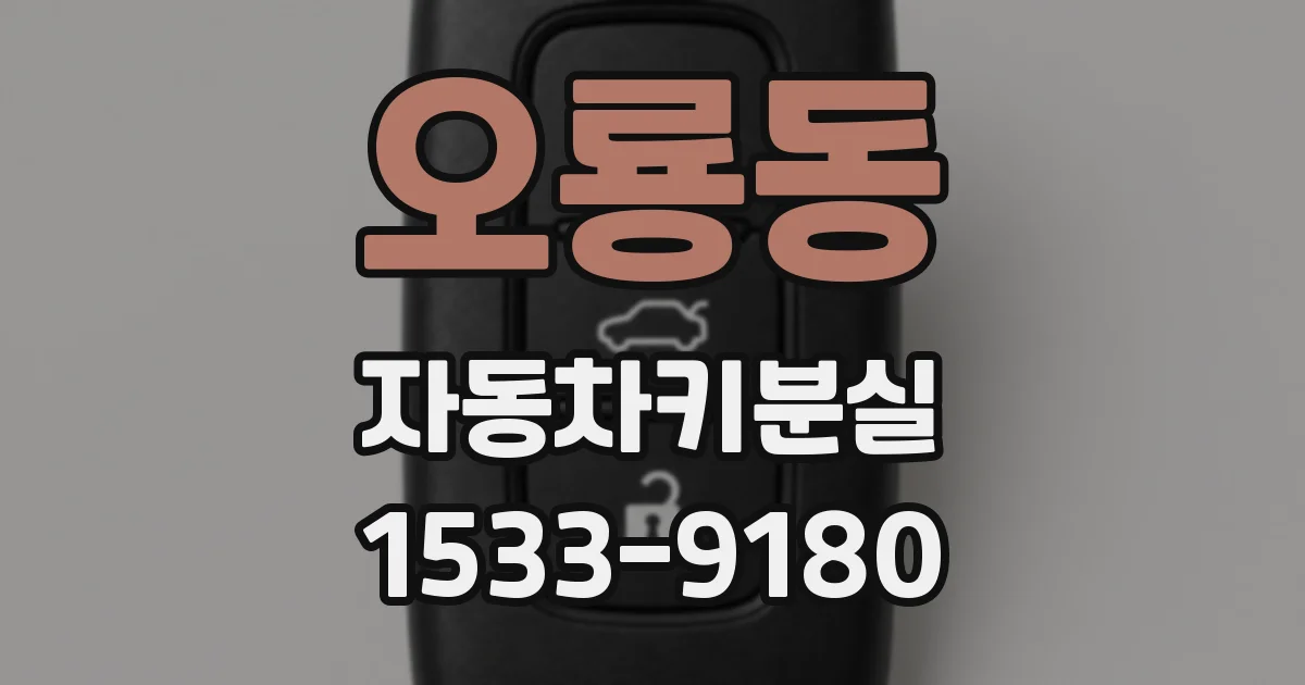 오룡동 자동차키분실