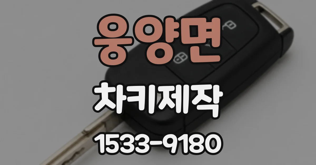 웅양면 차키제작