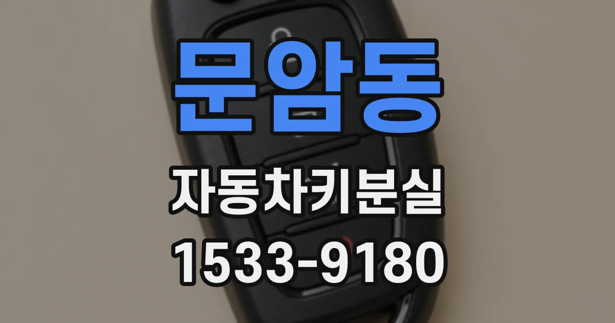 문암동 자동차키분실