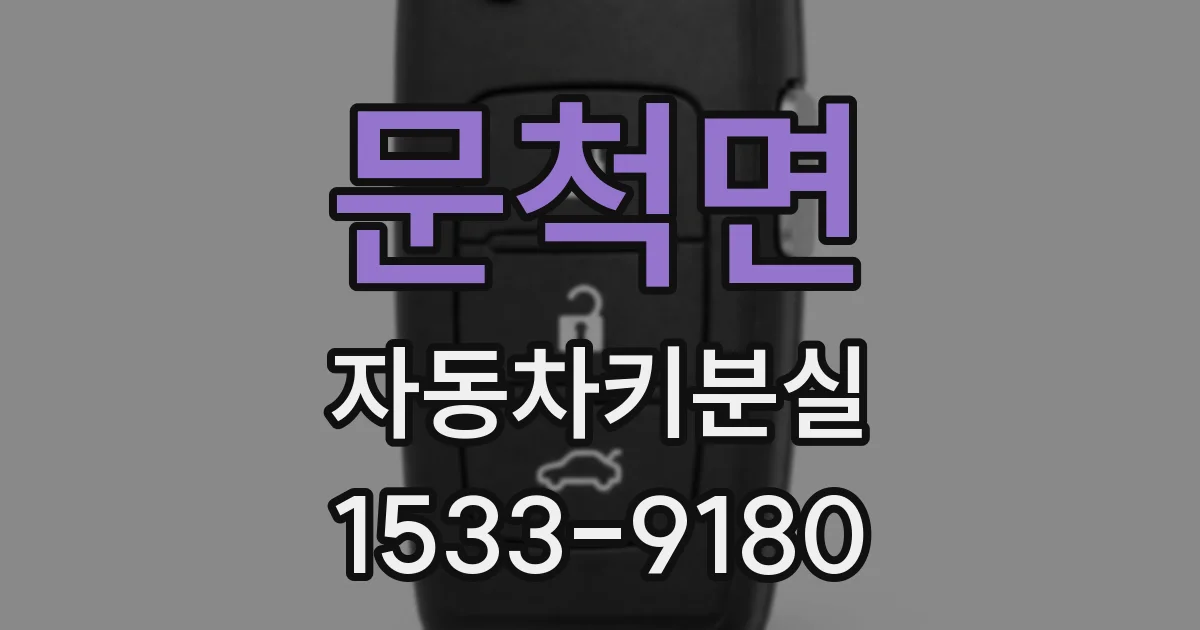 문척면 자동차키분실
