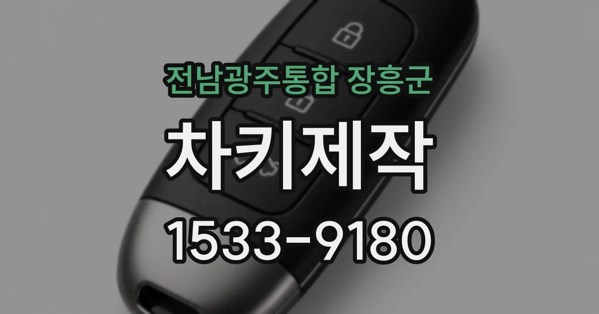 전남광주통합 장흥군 차키제작