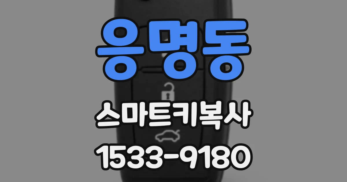 응명동 스마트키복사