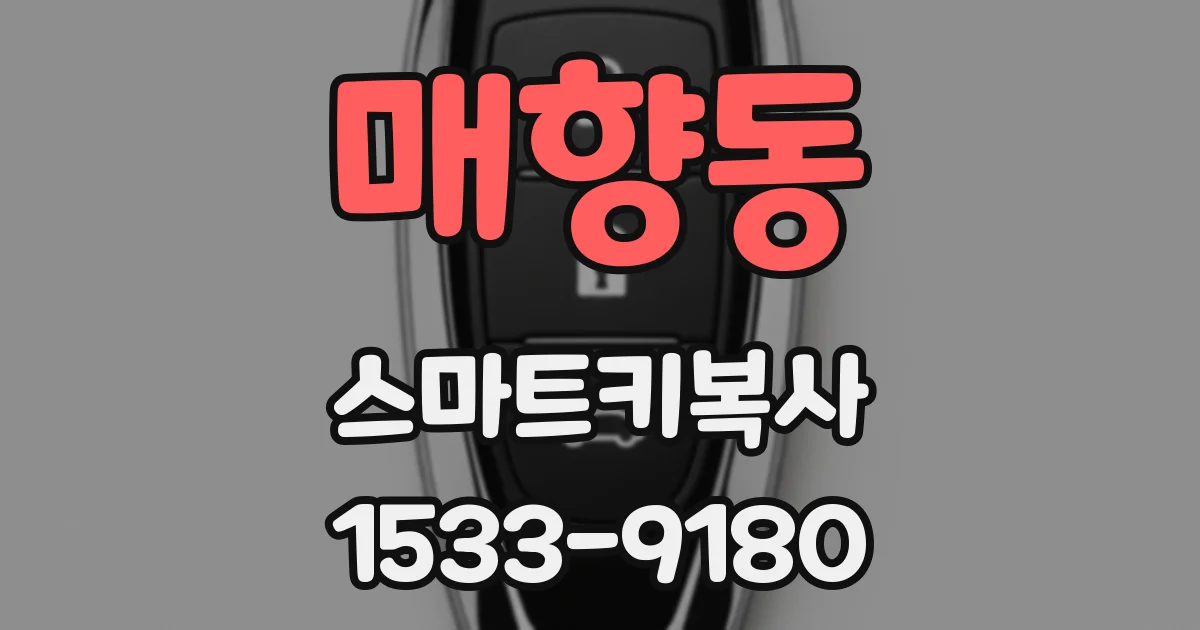 매향동 스마트키복사