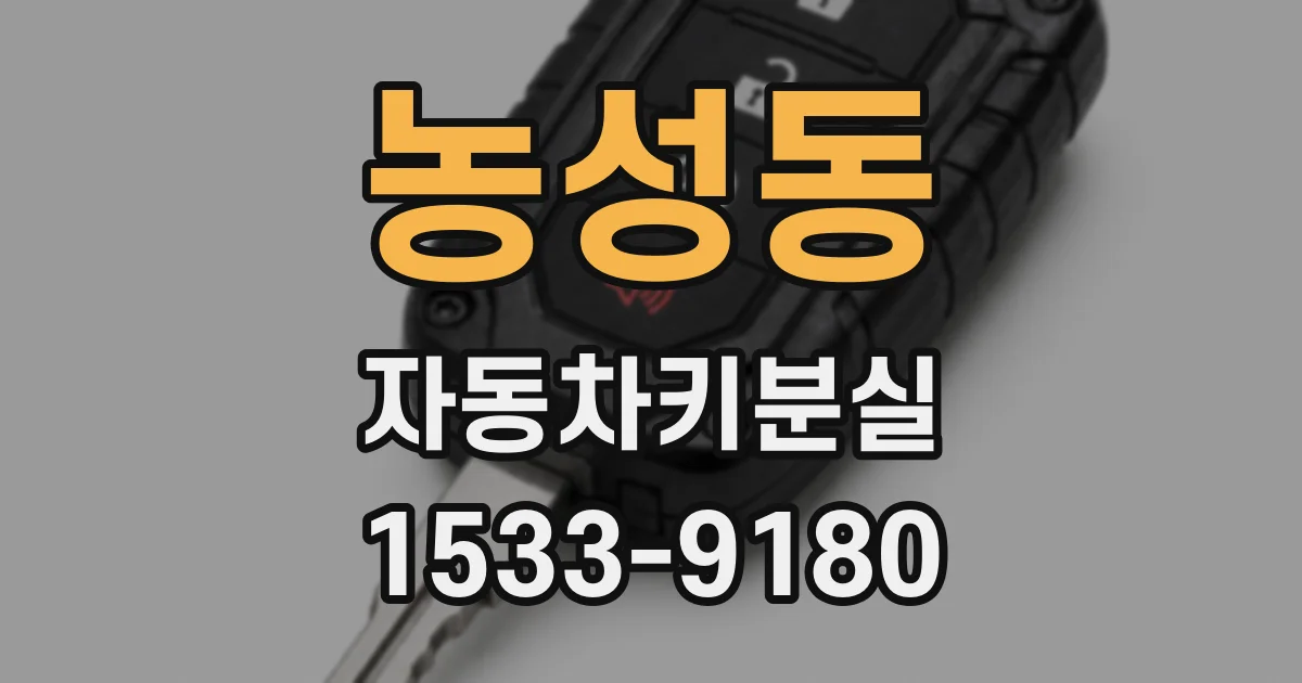 농성동 자동차키분실