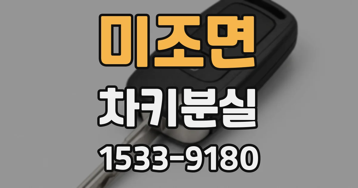 미조면 차키분실