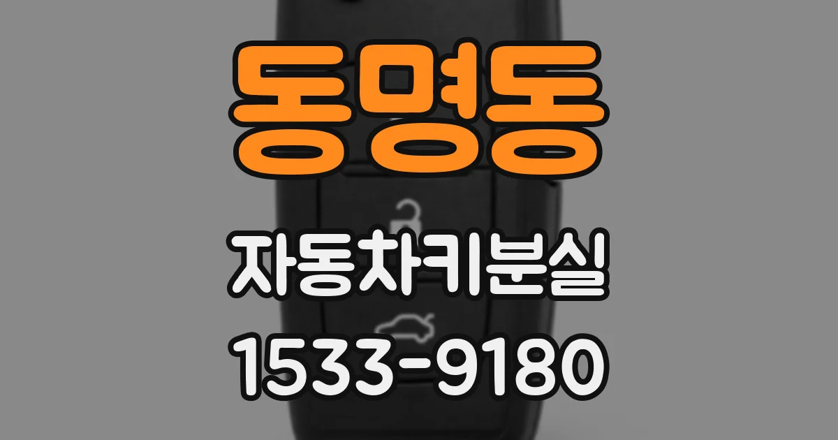 동명동 자동차키분실