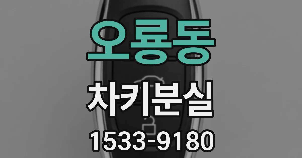 오룡동 차키분실