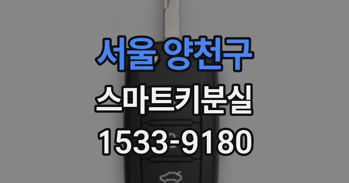 서울 양천구 스마트키분실