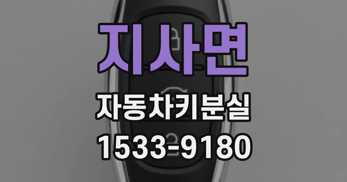 지사면 자동차키분실