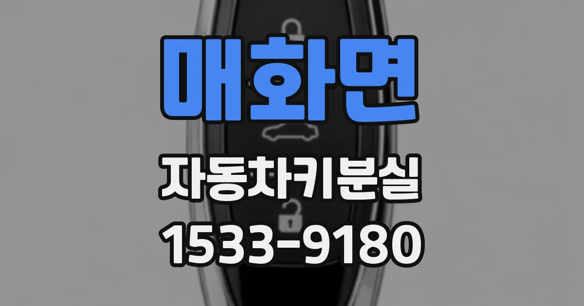 매화면 자동차키분실