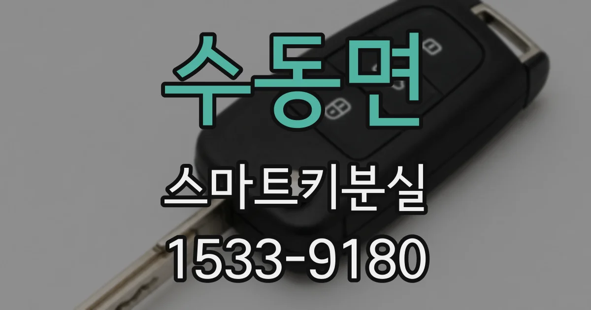 수동면 스마트키분실