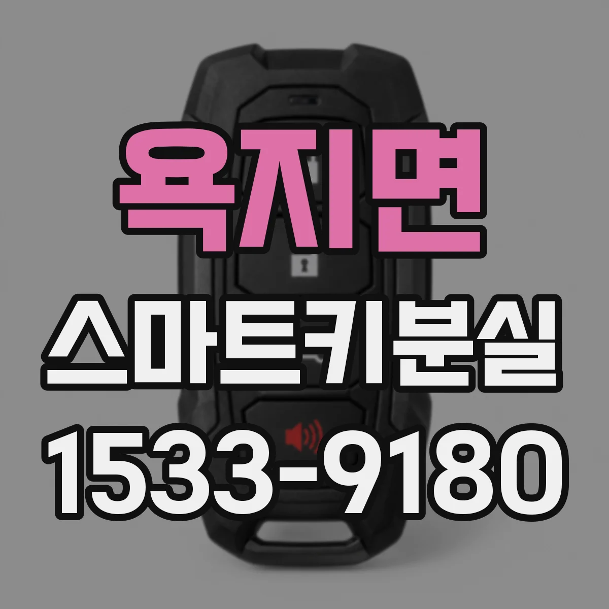 욕지면 스마트키분실