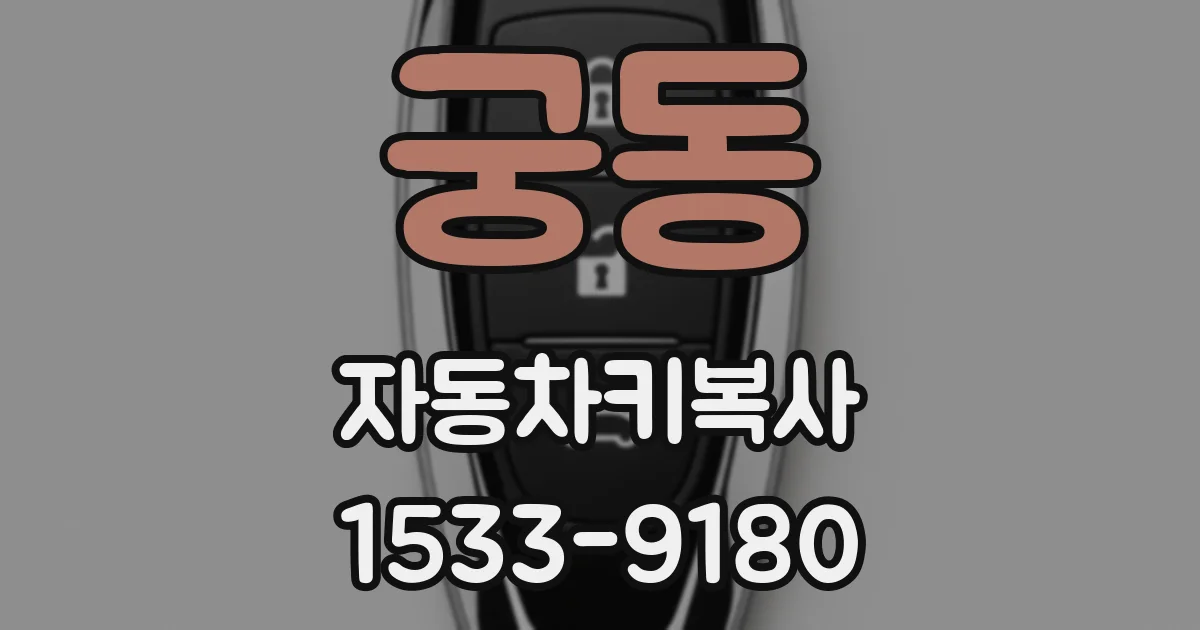 궁동 자동차키복사