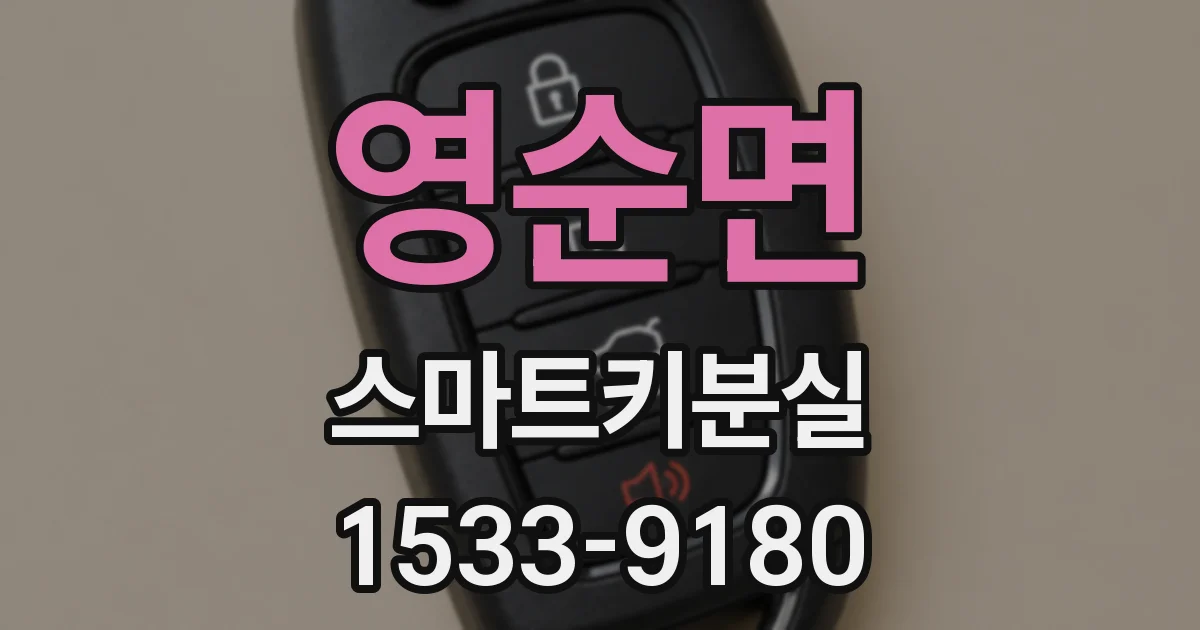 영순면 스마트키분실