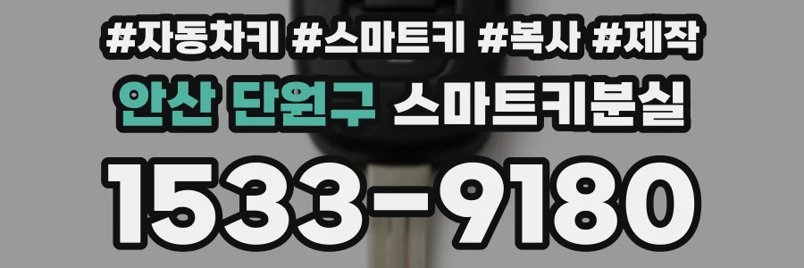 안산 단원구 스마트키분실