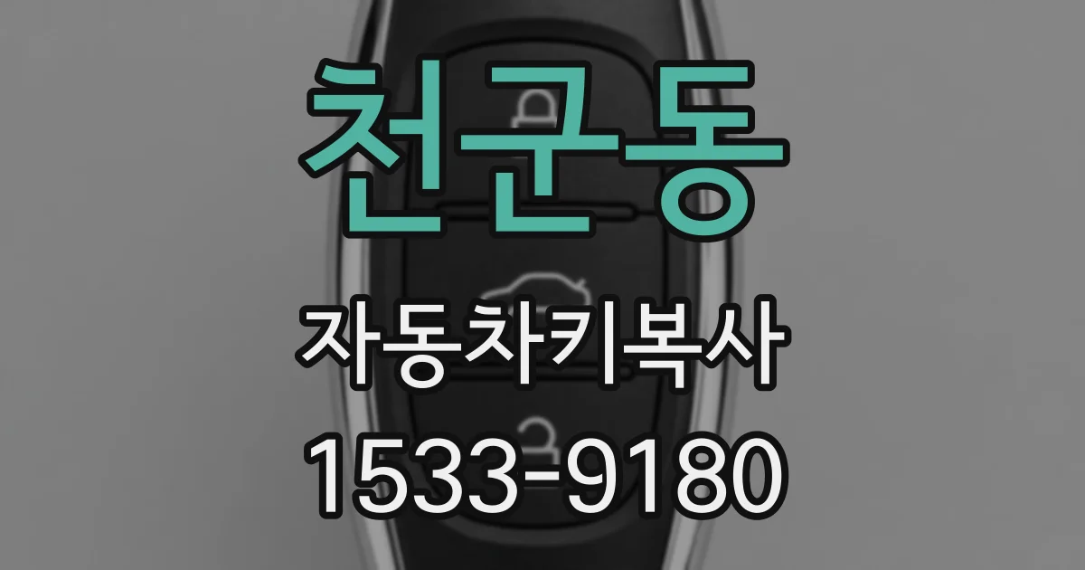 천군동 자동차키복사