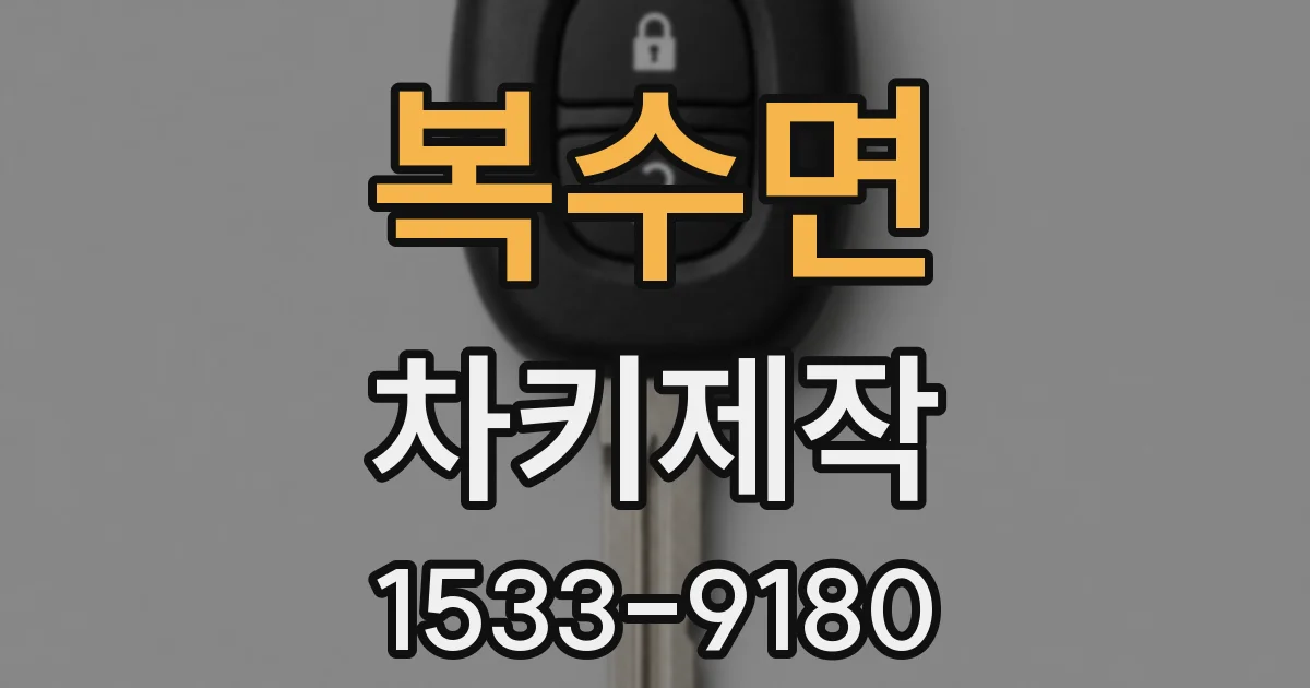 복수면 차키제작