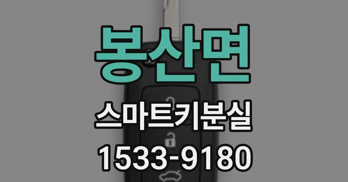 봉산면 스마트키분실
