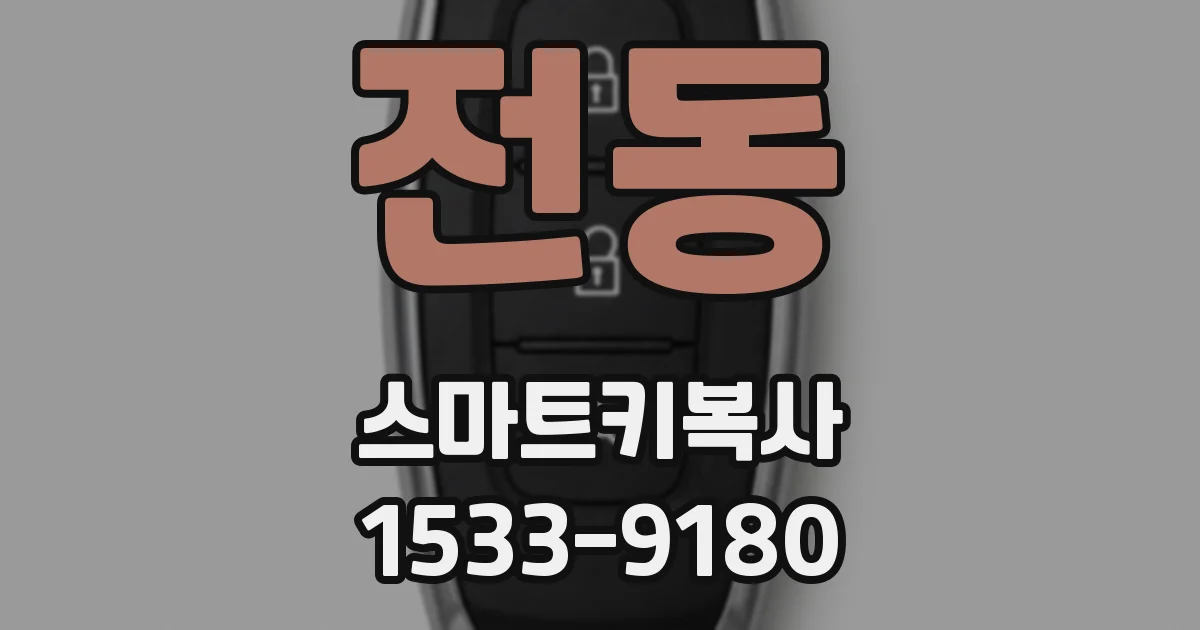 전동 스마트키복사