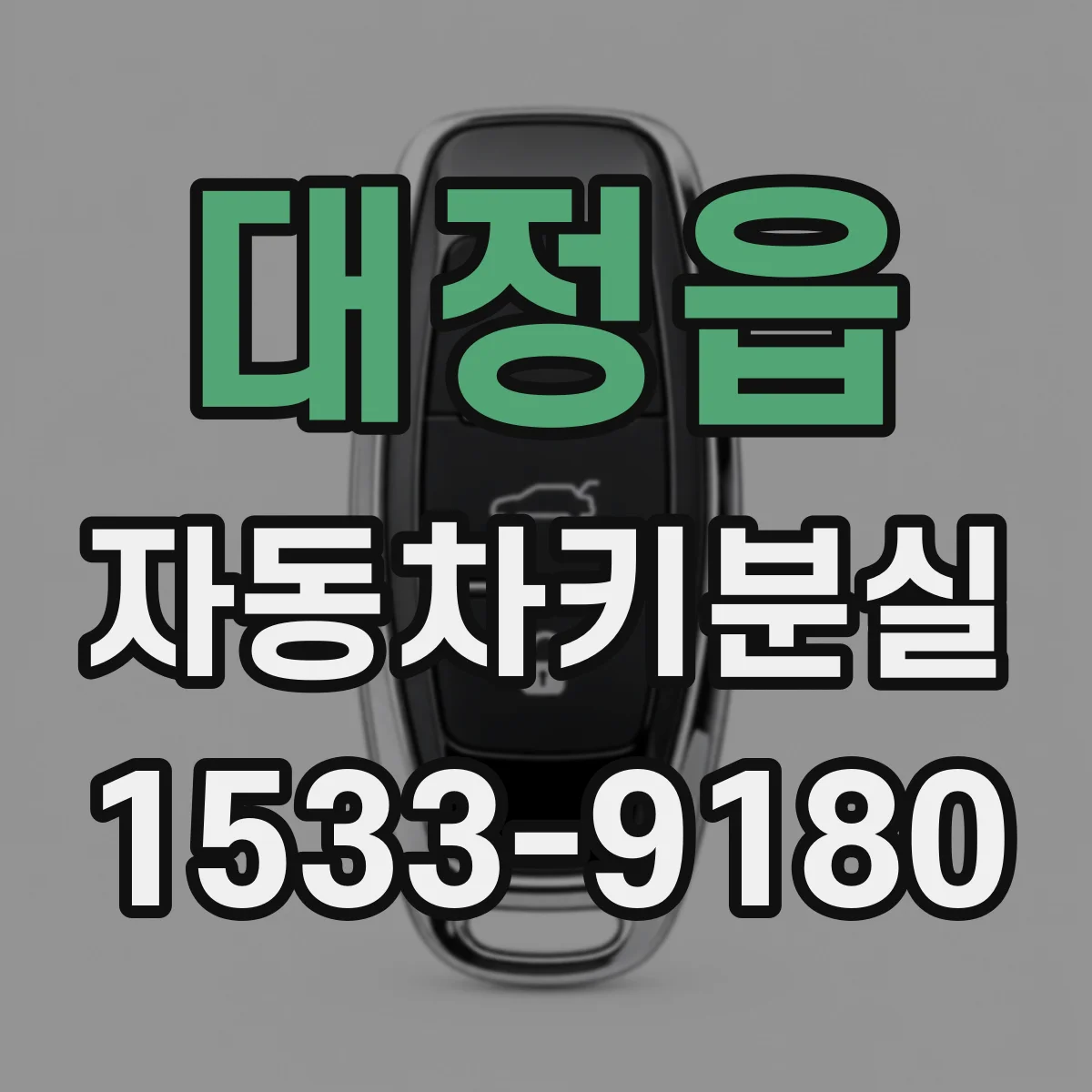 대정읍 자동차키분실
