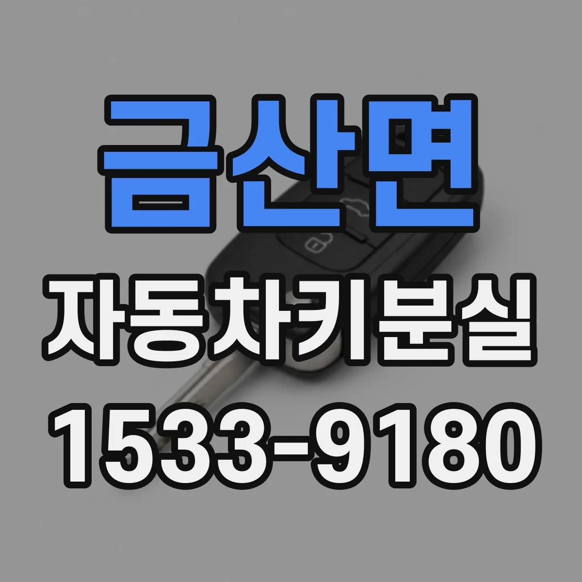 금산면 자동차키분실