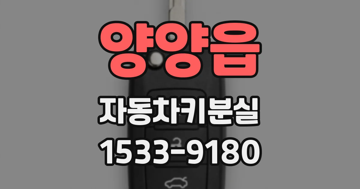 양양읍 자동차키분실