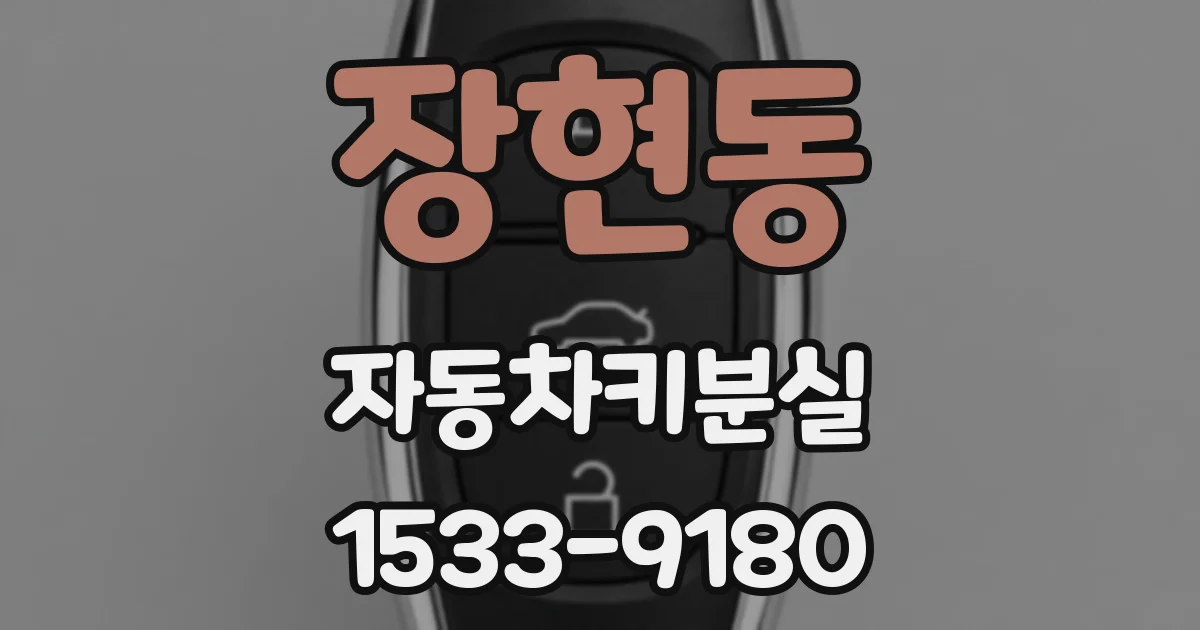 장현동 자동차키분실