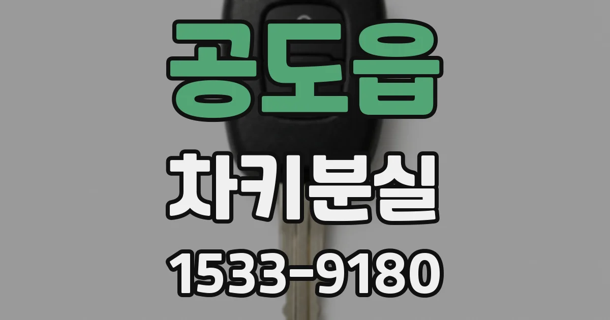 공도읍 차키분실