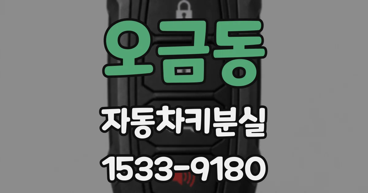 오금동 자동차키분실