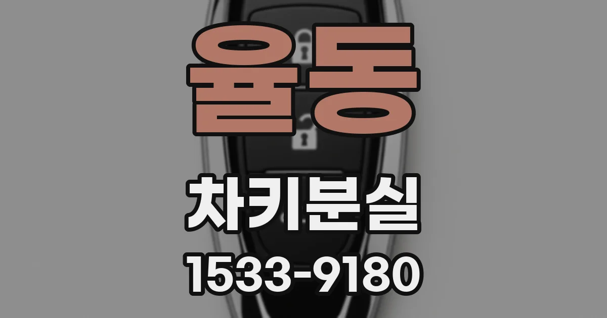 율동 차키분실