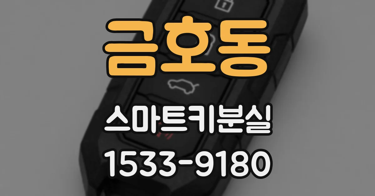 금호동 스마트키분실