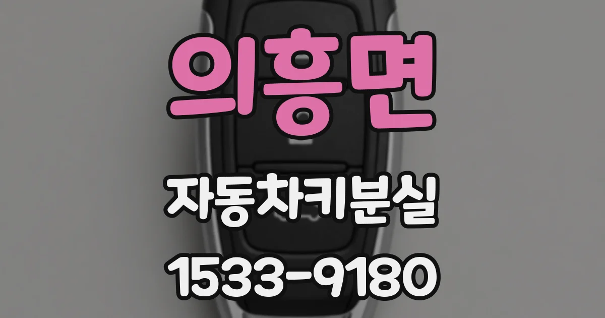 의흥면 자동차키분실