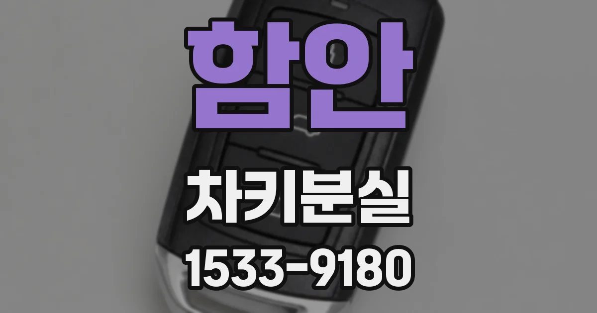 함안 차키분실